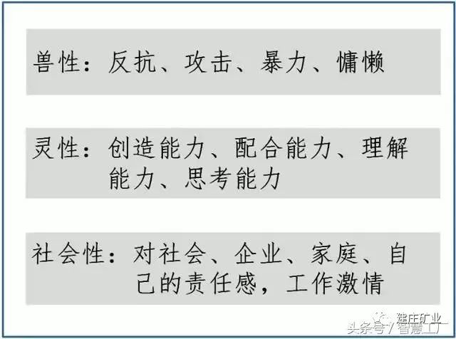 剥去伪装:2025年澳彩今晚特马,的全面释义、解释与落实